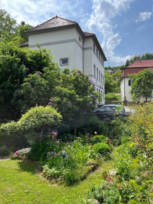 Wohnen Im Fachwerk - Ferienwohnung Fenja Nentershausen  Exteriér fotografie